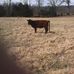 Profile Picture of Neal Applegate (@neal.applegate.7) on Facebook