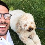 Profile Picture of David Wilding (@davidwilding7) on Instagram