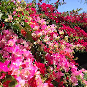 William Huang - Youtube Profile Picture of William Huang (@williamhuang8783) on Youtube