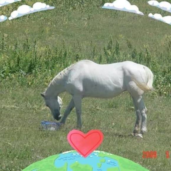 Cynthia Mahlin - Poshmark Profile Picture of Cynthia Mahlin (@mahlins) on Poshmark