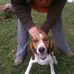 Profile Picture of Joe Baldwin (@joe.baldwin.18294) on Facebook