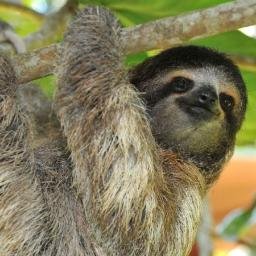 Profile Picture of Brian Gorski (@T0matel) on Twitter