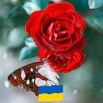 Марія Марків - Facebook Profile Picture of Марія Марків (@Марія-Марків) on Facebook