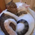 Profile Picture of Rose Duché (@Rose-Duché) on Facebook