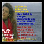 Profile Picture of Daniel di Tomasso (@danieldi5892) on Instagram