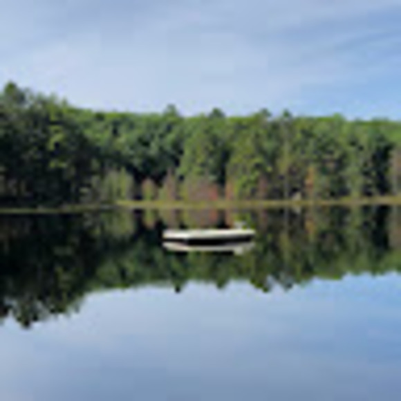 Profile Picture of Anya Maciolek (@anyamaciolek) on Poshmark