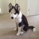 Corey Guillory - Instagram Profile Picture of Corey Guillory (@coreyguillory1) on Instagram