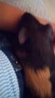 Profile Picture of   Love_ly_Ellie... (@love_ly_ellie58) on Tiktok