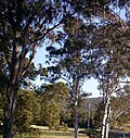 Profile Picture of The Gap, Queenslandon Wikipedia