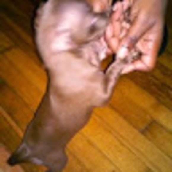 Profile Picture of Tonya Edema (@tonyaedema50) on Poshmark