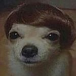 Daniel Ambler - Instagram Profile Picture of Daniel Ambler (@dan_the_rhino) on Instagram