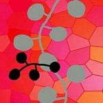 Profile Picture of Yolanda Sánchez*Natural Silk & Wool (@sedaencolor_) on Instagram