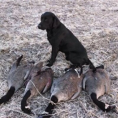Profile Picture of Nick Zakrzewski (@ZakrzewskiNick) on Twitter
