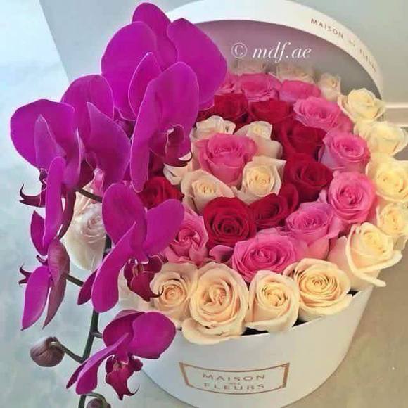 Profile Picture of Mike Mike (@mirwaisjaan001) on Poshmark