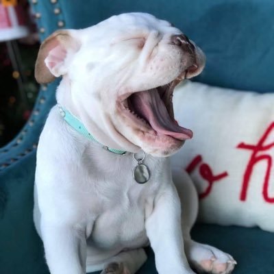 Profile Picture of Michael McKee (@MMcKeeEWI) on Twitter