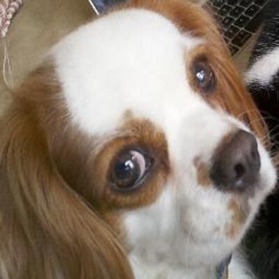 Profile Picture of Mark Poniatowski (@markponi) on Twitter