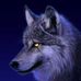 Profile Picture of Aaron Helfer (@aaron.helfer.77) on Facebook
