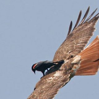 Profile Picture of Fady Aboud (@fady.aboud.16) on Facebook