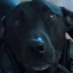 Profile Picture of Liam Kerr (@_liam_kerr_19_) on Instagram