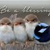 Profile Picture of Karen McCusker (@karen.mccusker.50) on Facebook
