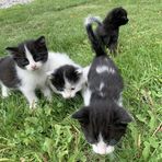 Profile Picture of Jaret Juarez Pollin (@Jaret-Juarez-Pollin) on Facebook