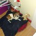 Profile Picture of Doris Thornton (@doris.thornton.908) on Facebook