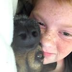 Profile Picture of David Grady Mills (@davidgrademills) on Instagram