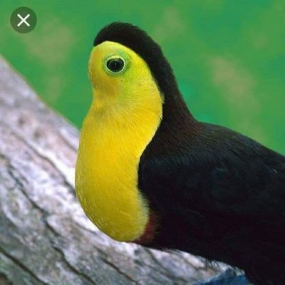 Profile Picture of Pipilos Do Gantzias (@Gantz1as) on Twitter