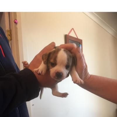 Profile Picture of William Grant Hickeyon Twitter