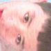 Profile Picture of Daniel Manjarrez (@daniel.manjarrez.16718) on Facebook