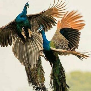 Yordan Godeng - Facebook Profile Picture of Yordan Godeng (@yordan.godeng) on Facebook