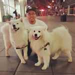 Profile Picture of Christopher Yao (@gyaoza) on Instagram