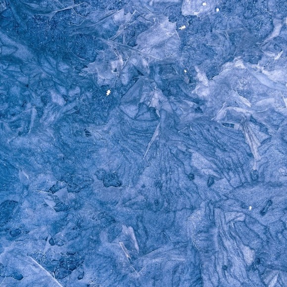 Profile Picture of Edith Samuelsson (@esam1111) on Poshmark