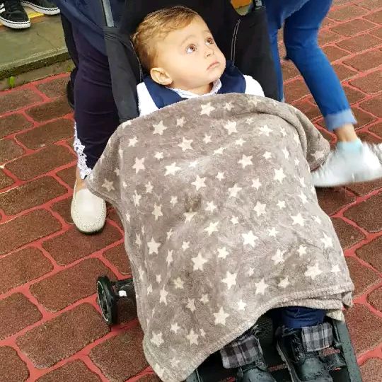 Profile Picture of Bad mood😔💔 (@roseteddy) on Tiktok