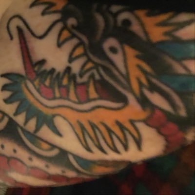 Profile Picture of Mike Kirchenbauer (@biznessgoose) on Twitter