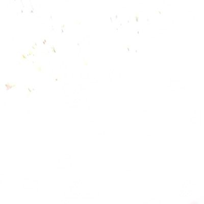 Profile Picture of wiwiuwuruduururjejje (@amywienhouse) on Tiktok