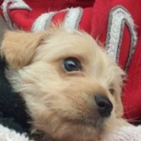 Profile Picture of Brian Barrera (@brian-barrera-8) on Quora