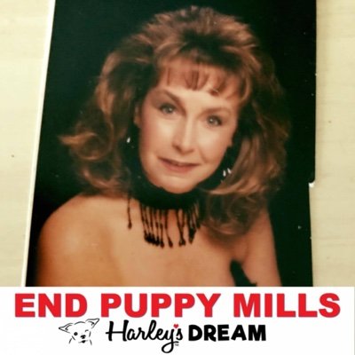 Profile Picture of Sandra L Bloomfield (@SandraLBloomfi2) on Twitter