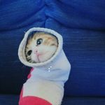 Profile Picture of jacob jonsson (@jjonsson81105) on Instagram