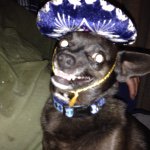 Profile Picture of Dawn Worley (@dawndee7271) on Instagram