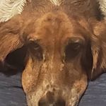 Profile Picture of Spencer Meikle (@spencer.meikle) on Instagram