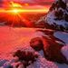 Profile Picture of Robert Bermudez (@zepfan777) on Pinterest