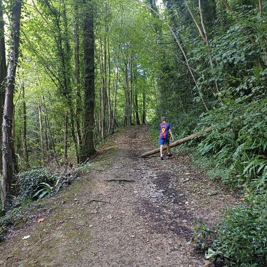 Profile Picture of William Toomey (@william.toomey) on Tiktok