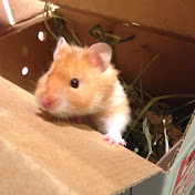 Jordyn Fisher - Youtube Profile Picture of Jordyn Fisher (@jordynfisher5059) on Youtube