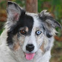 Profile Picture of Ricky Mckay (@ricky-mckay-11) on Quora