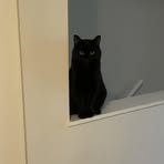 Hyewon Kwon - Facebook Profile Picture of Hyewon Kwon (@maria.kwon.1293) on Facebook