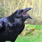 Profile Picture of Smidi Wever Llever Man Jensen (@daniel.florespadilla.1) on Facebook