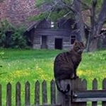 Profile Picture of Michael König (@michael47koenig) on Instagram