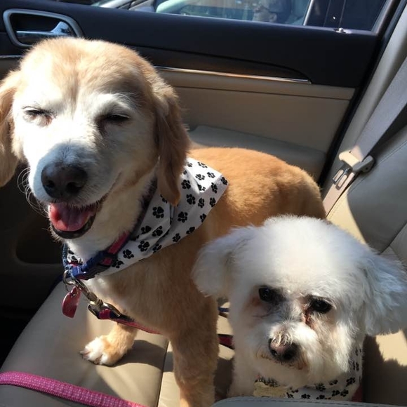 Profile Picture of Jean Mahland (@jm64) on Poshmark