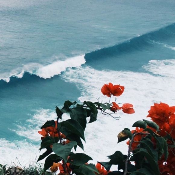 Profile Picture of Minha Kim (@minvkeem) on Poshmark